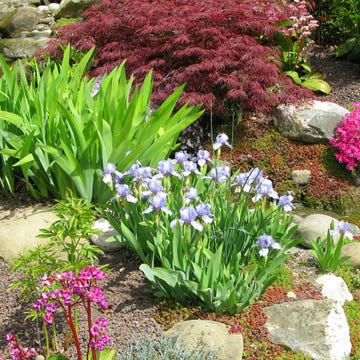 how to make a rock garden