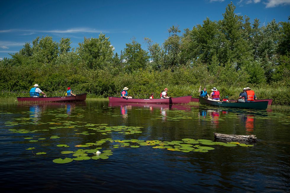 Wild Center Adirondacks