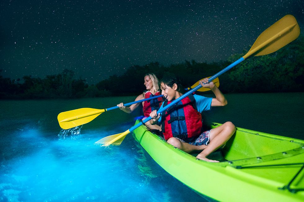 bioluminescent kayaking puerto rico