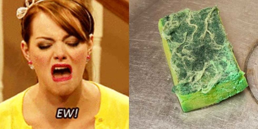 Your Kitchen Sponge Is Full Of Bacteria You Can T Clean Your Sponge