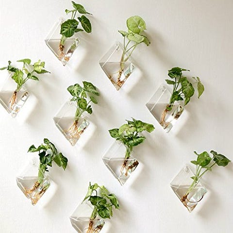 10 best wall planters for your living