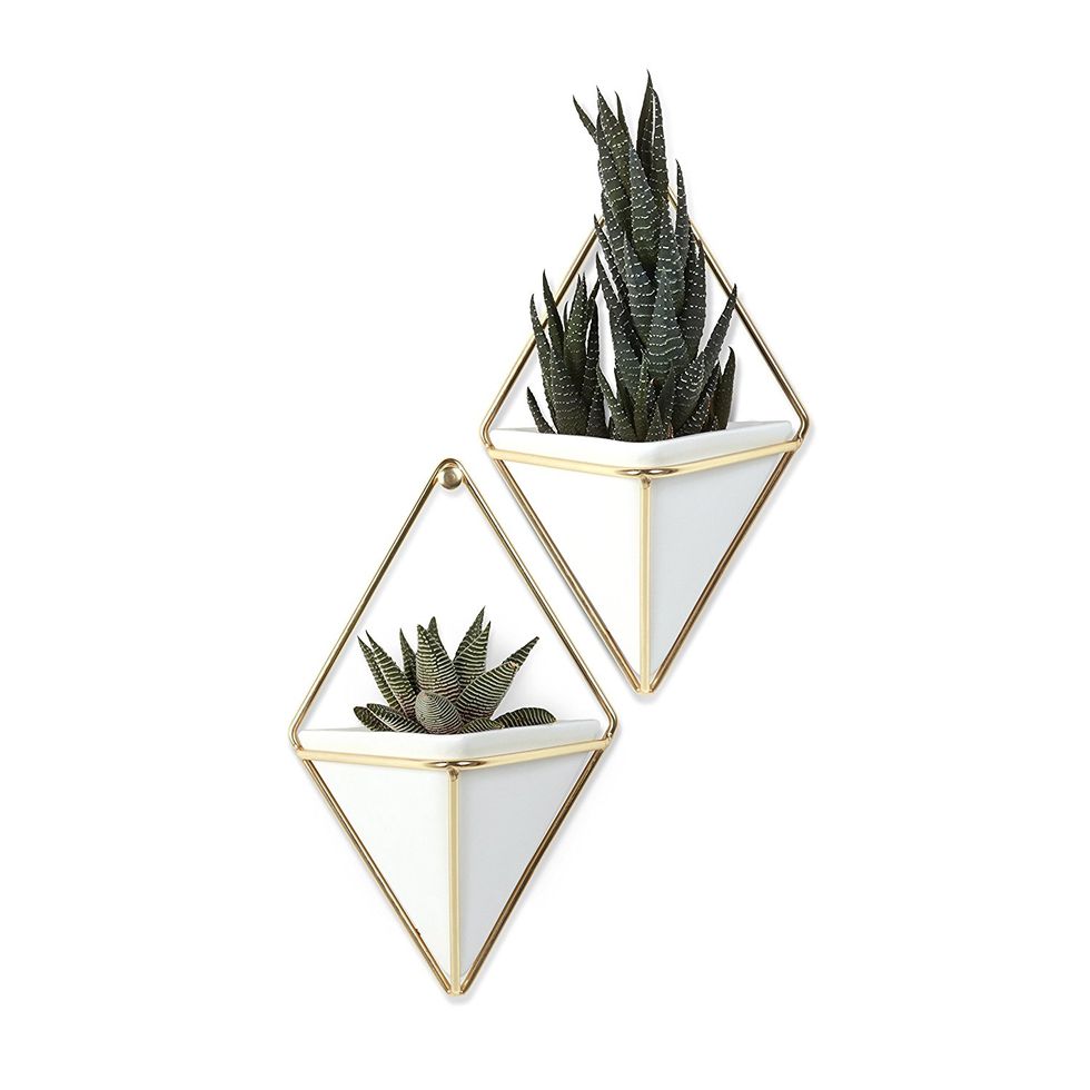 10 Best Wall Planters for Your Living Room in 2018 - Vertical Planters ...