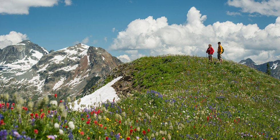 Mountain Trek