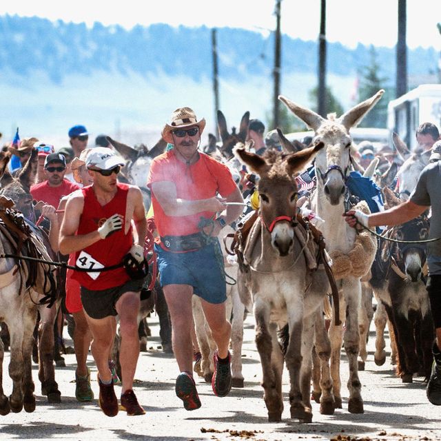 Burro Racing Is the Adventurous Sport You Didn’t Know Existed