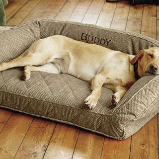 11 Best Pet Beds For Dogs and Cats - Chic and Comfy Pet Beds They'll Love