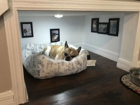 cutest dog room ever