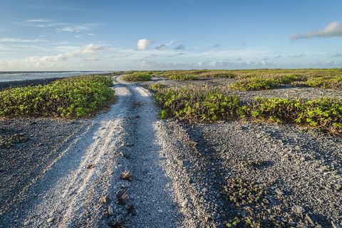 Your Guide to Visiting Christmas Island - What to Do and Wear to Stay