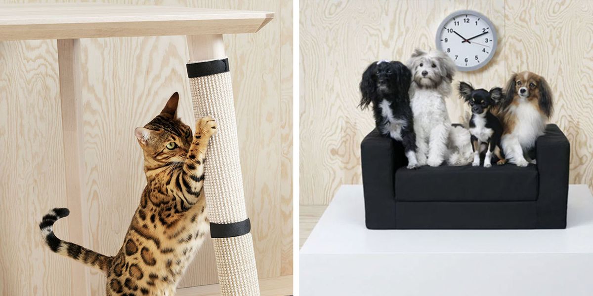 IKEA Furniture For Dogs and Cats