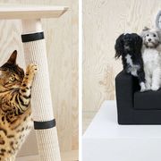 IKEA Furniture For Dogs and Cats
