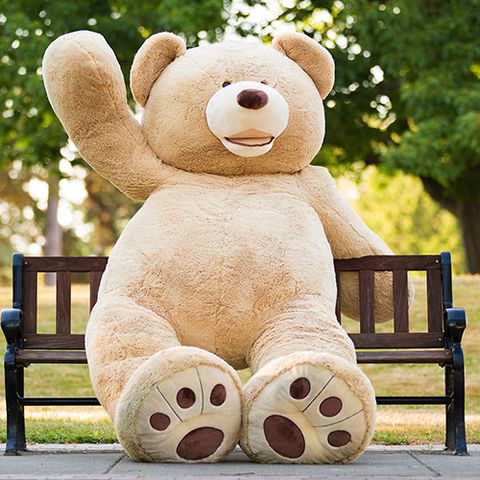 costco hugfun bear