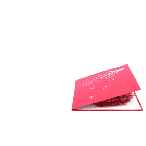 cards lovepop 2019 in Most 2019 Products Tank 58 Shark Successful cards lovepop 2019 in Most 2019 Products Tank 58 Shark Successful