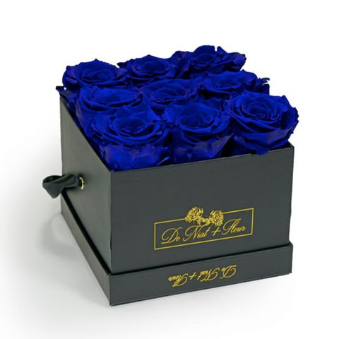 Blue, Cobalt blue, Blue rose, Rose, Flower, Rose family, Petal, Plant, Electric blue, Rose order, 