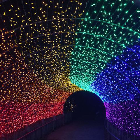 Cincinnati Zoo Festival of Lights — Cincinnati, Ohio