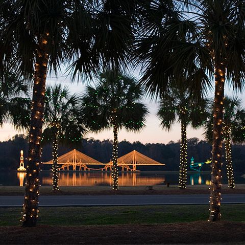 Holiday Festival of Lights — Charleston, South Carolina