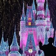 Live-stream Cinderella Castle Lighting