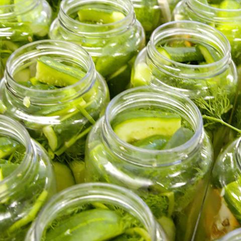 The Real Dill factory in Denver makes delicious pickles