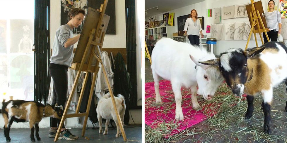 Hello Critter offers figuring drawing, writing, and yoga with goats