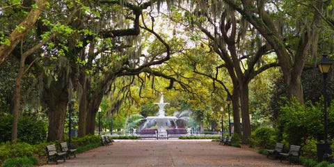 image Savannah, Georgia