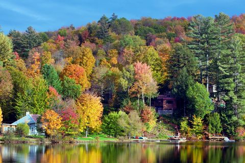 manchester, vermont fall foliage