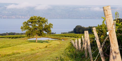 image Finger Lakes