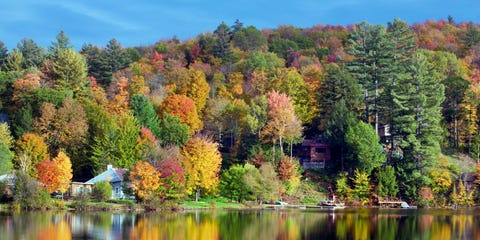 image Manchester, Vermont fall foliage