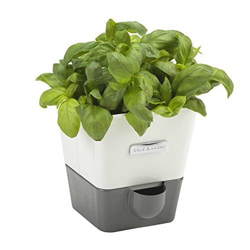 7 Best Indoor Herb Gardens In 2018 For Growing Herbs