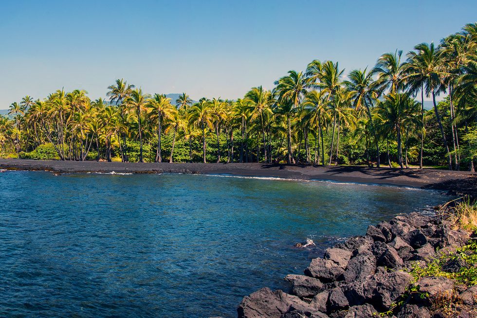 punalu'u black sand beach — big island, hawaii