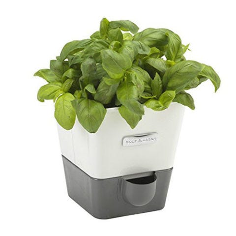 9 Best Indoor Herb Garden Ideas For 2018 Gardens Cole Mason Self Watering Indoor Herb Garden Planter