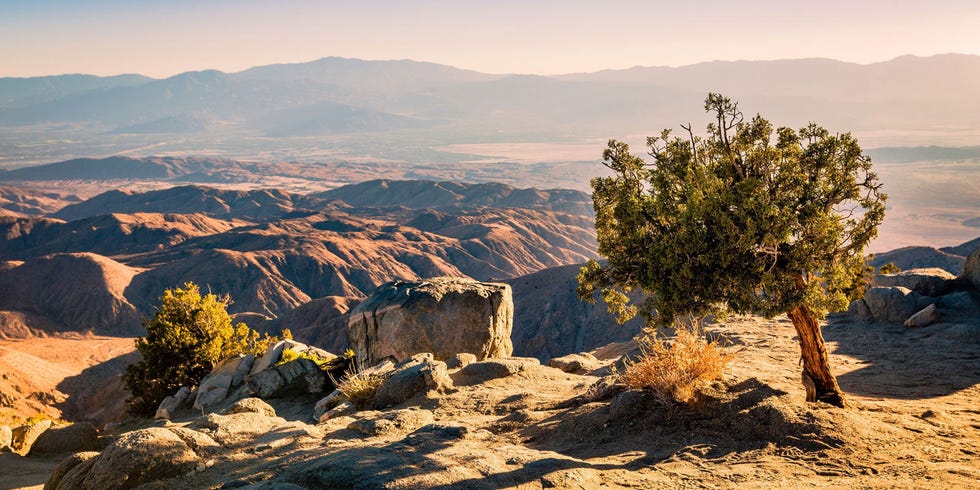 Joshua Tree National Park