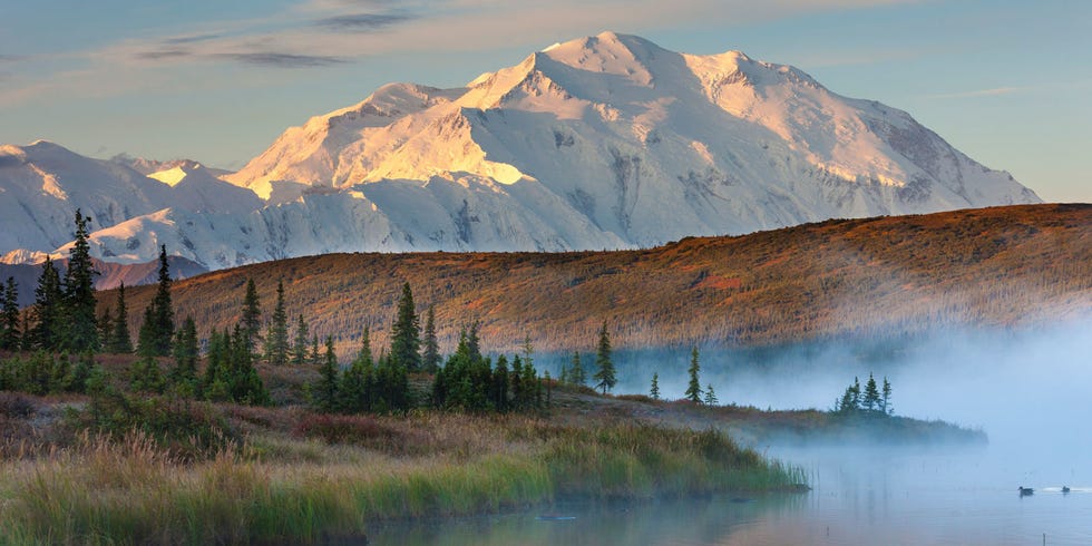 Denali National Park