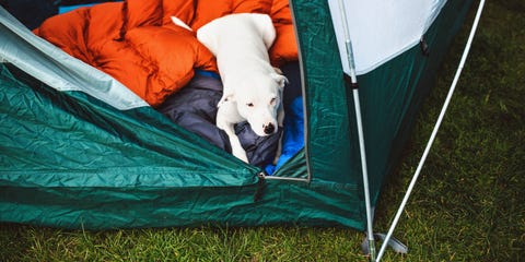 Family Tents Family Tents