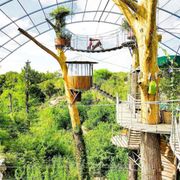 Cypress Valley Canopy Tours has a treehouse hotel near Austin, Texas