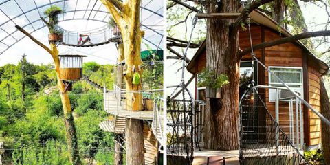 Cypress Valley Canopy Tours has a treehouse hotel near Austin, Texas