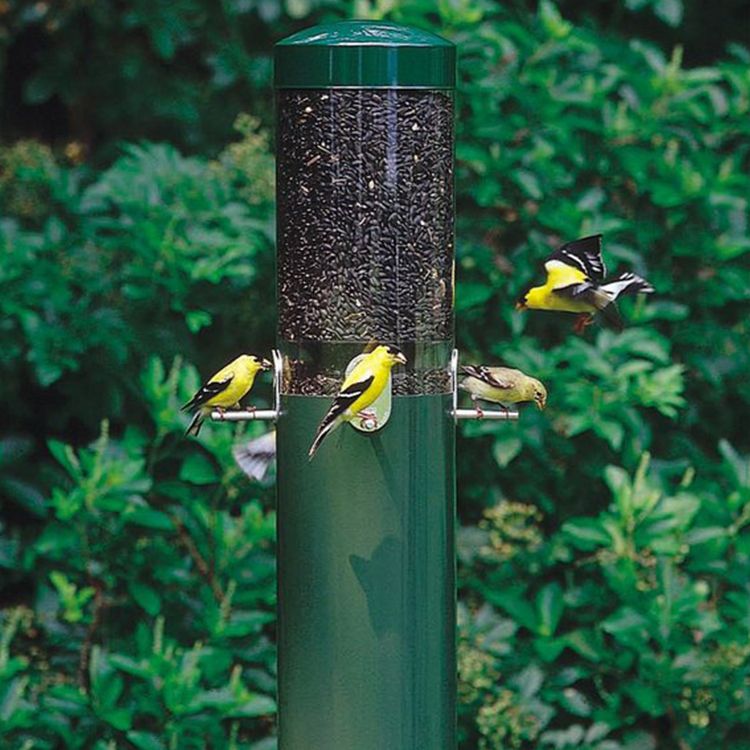 10 Best Bird Feeders for Spring 2018 - Window & Garden Bird Feeders