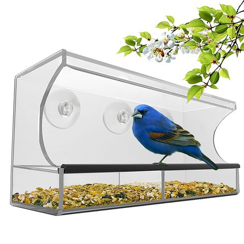 10 Best Bird Feeders For Your Yard 2018 Window Garden Bird Feeders