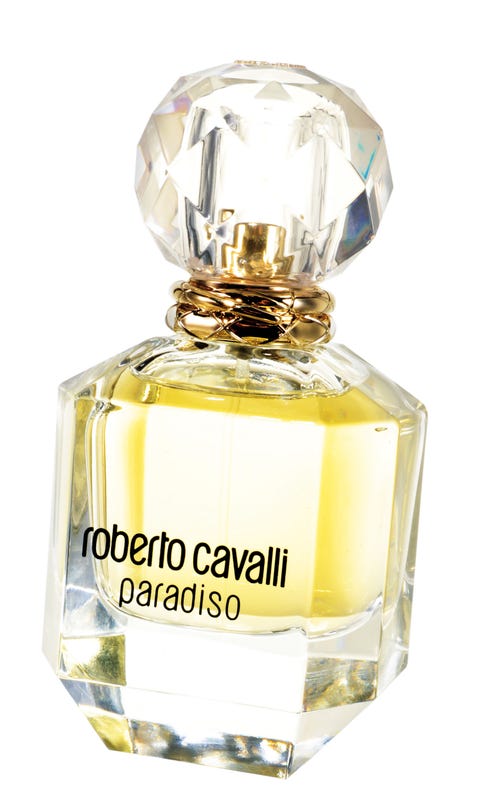 cavalli image