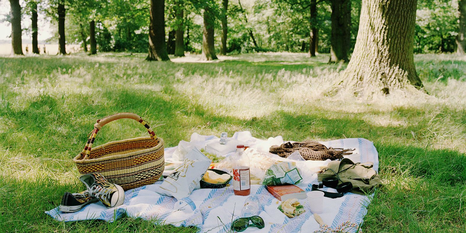 Пикник на Поляне в лесу