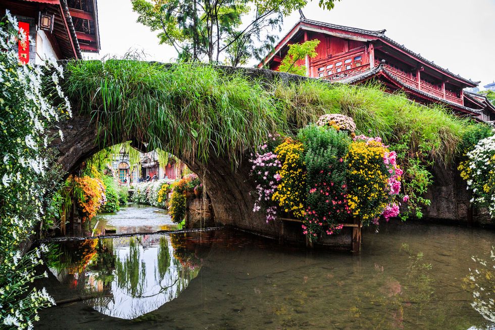 Plant, Flower, Shrub, Garden, House, Spring, Roof, Arch, Reflection, Channel, 