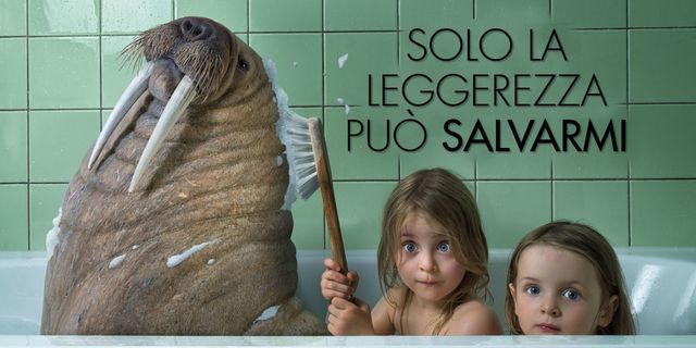 Organism, Marine mammal, Child, Walrus, Adaptation, Toddler, Seal, Blond, Photo caption, Poster, 