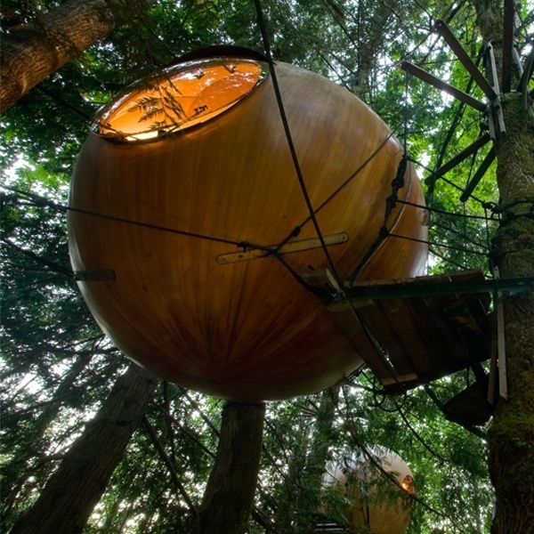 bubble treehouse