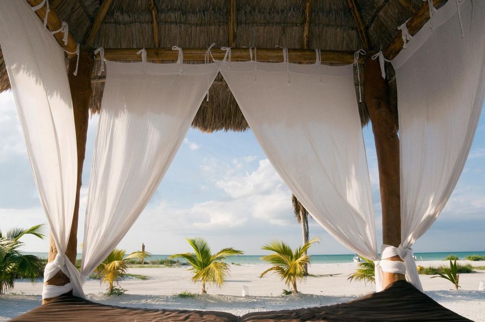 Shade, Tropics, Symmetry, Caribbean, Arecales, Palm tree, Resort, 