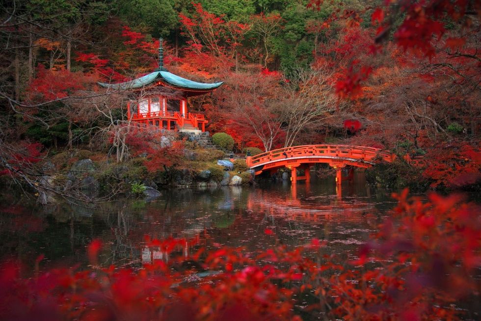 Nature, Vegetation, Natural landscape, Chinese architecture, Red, Leaf, Landscape, Reflection, Pond, Japanese architecture, 