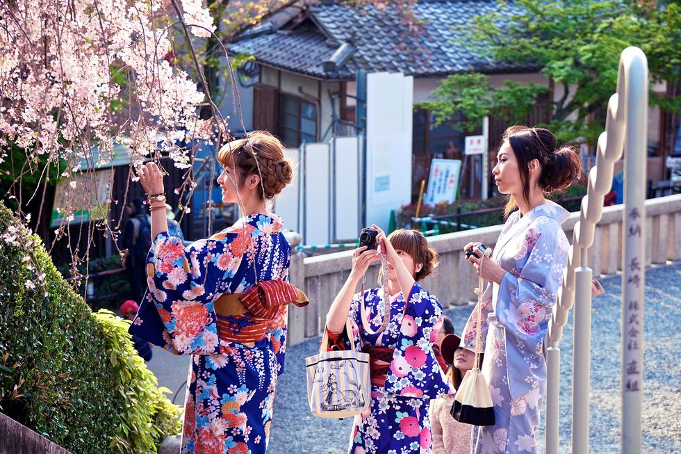 Three young women in colorful floral kimonos looking at and snapping photos of cherry blossoms on the steps leading up to Kiyomizu-dera Temple. Kyoto, Japan; April 15, 2014.