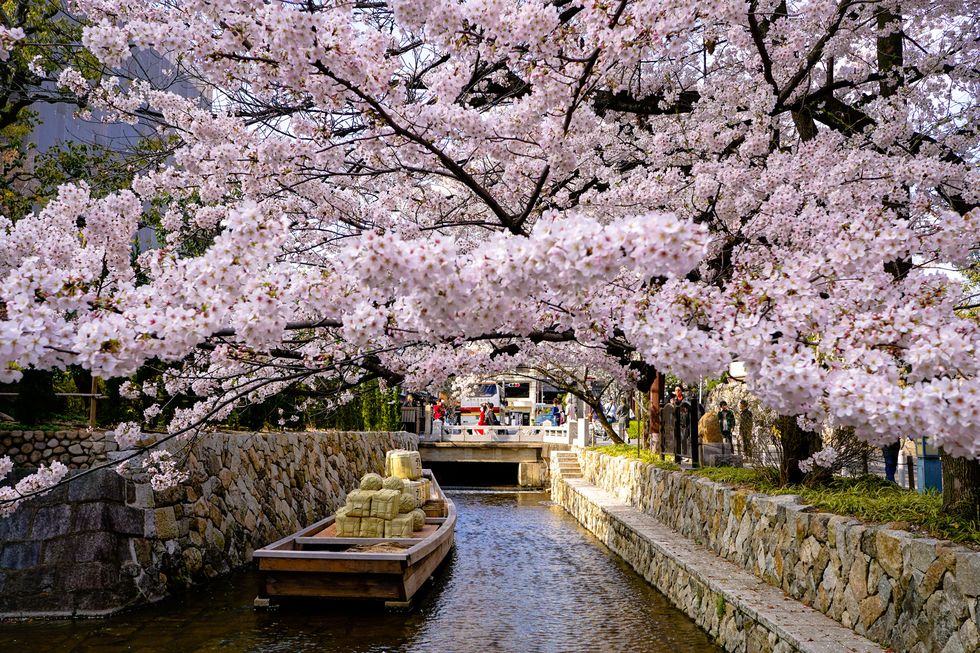 Takasegawa Ichino-Funairi, Japanese national memorial, 1st port near Nijo-Kiyamachi in Spring with cherry blossoms, in Kyoto Japan.