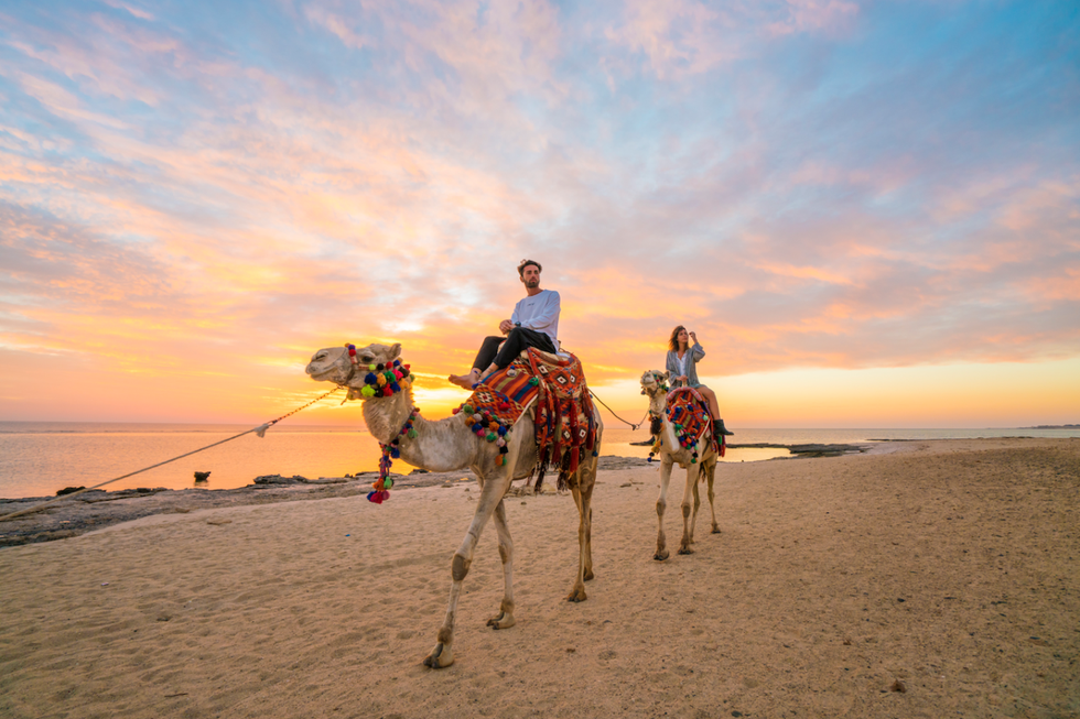 Camel, Arabian camel, Camelid, Sky, Rein, Landscape, Fun, Livestock, Tourism, Vacation, 