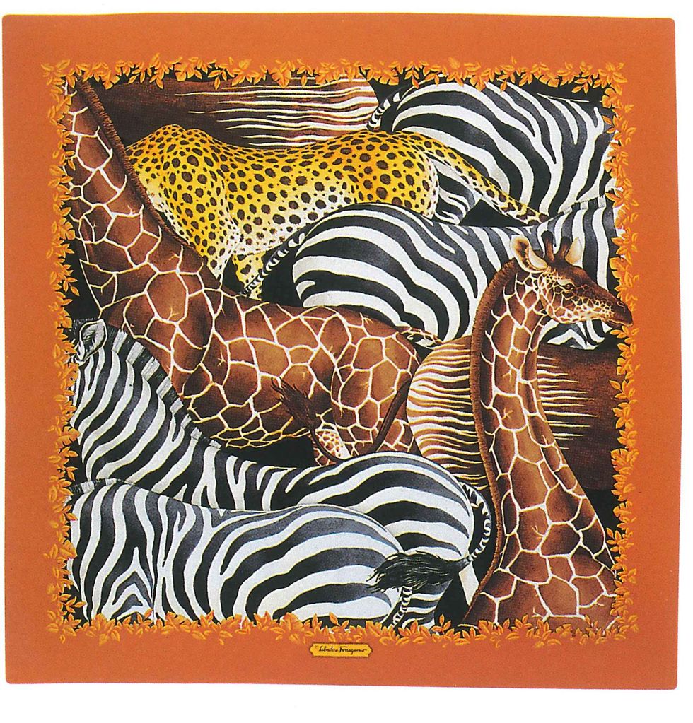 Zebra, Organism, Vertebrate, Terrestrial animal, Adaptation, Orange, Pattern, Giraffidae, Neck, Rectangle, 
