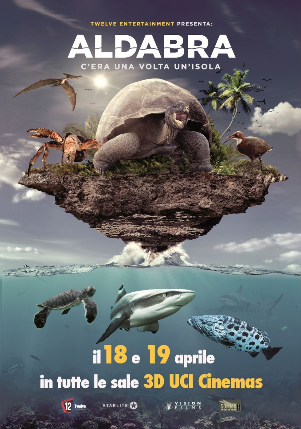 Turtle, Sea turtle, Poster, Galápagos tortoise, Tortoise, Organism, Adaptation, Reptile, Green sea turtle, Marine biology, 