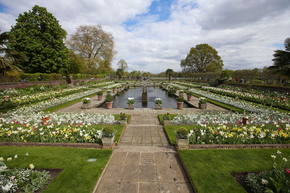 Blossoms are seen in the White Garden, created to celebrate the life of Diana, Princess of Wales, at Kensington Palace in north London on April 13, 2017. Formerly known as the Sunken Garden, the White Garden was created with thousands of white flowers and foliage to mark the 20th anniversary of the death of Diana, Princess of Wales in August 1997. / AFP PHOTO / Daniel LEAL-OLIVAS        (Photo credit should read DANIEL LEAL-OLIVAS/AFP/Getty Images)