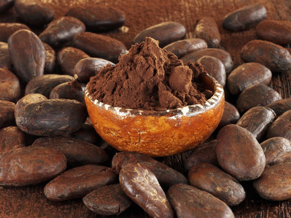 cacao e metabolismo