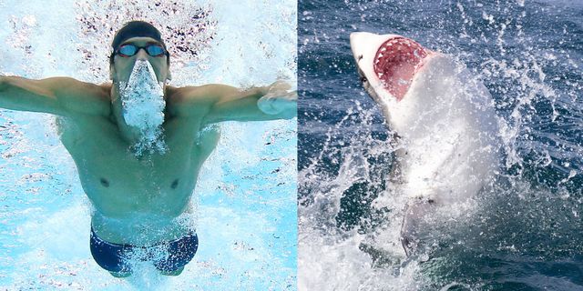 Michael Phelps contro lo squalo bianco per la Shark Week di Discovery Channel